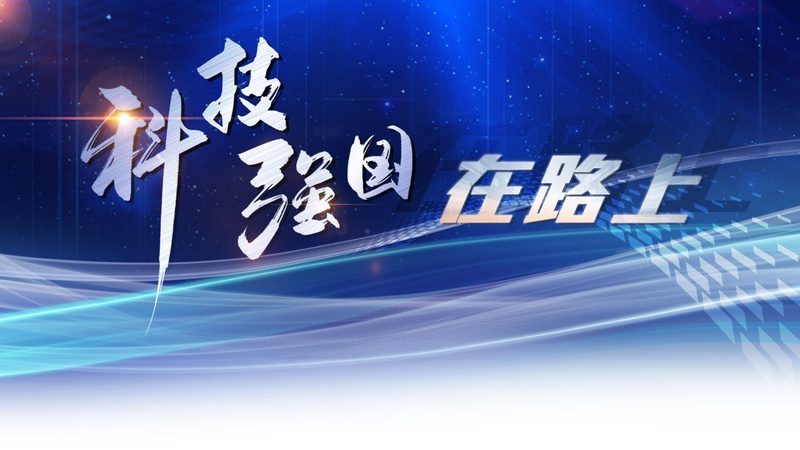 软件测试入门：从基础到实践的进阶之路